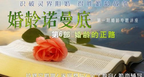 《婚龄诺曼底》6部 婚龄的正路